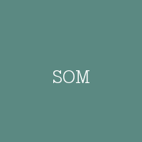 SOM