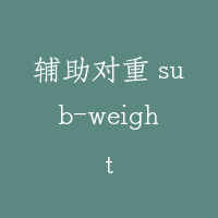 辅助对重 sub-weight