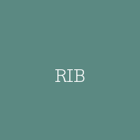 RIB