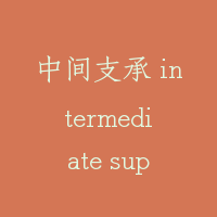 中间支承 intermediate support