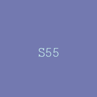 S55