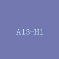 A13-H1