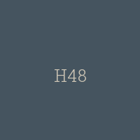 H48
