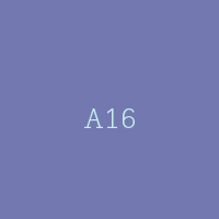A16