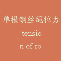 单根钢丝绳拉力 tension of rope