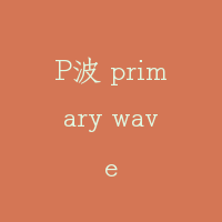 P波 primary wave