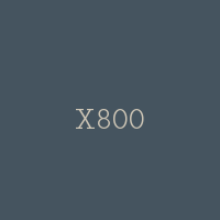 X800