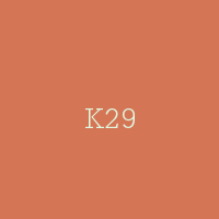 K29