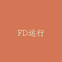 FD运行
