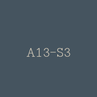 A13-S3