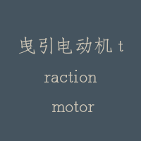 曳引电动机 traction motor