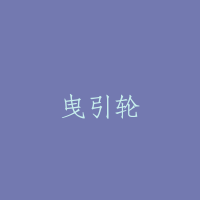 曳引轮