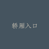 轿厢入口