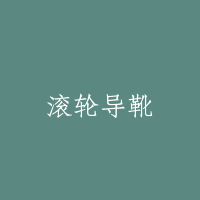 滚轮导靴