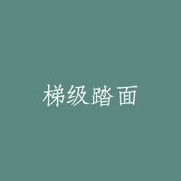 梯级踏面