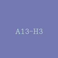 A13-H3