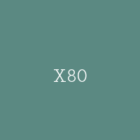X80
