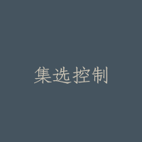 集选控制
