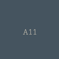 A11