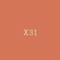 X31