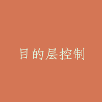 目的层控制