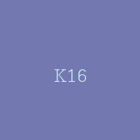 K16