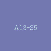 A13-S5