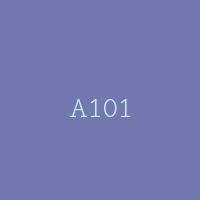 A101