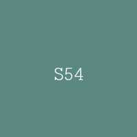 S54