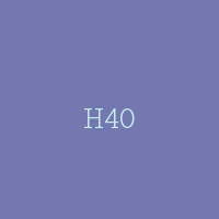 H40