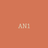 AN1