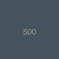 S00