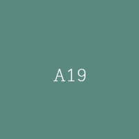 A19