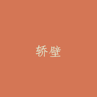 轿壁