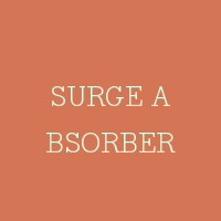 SURGE ABSORBER