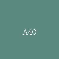 A40