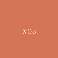 X03