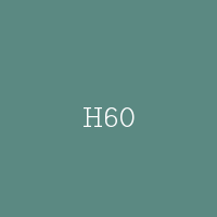 H60