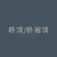 轿顶/轿厢顶