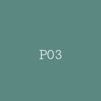 P03