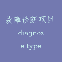 故障诊断项目 diagnose type