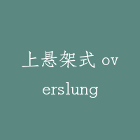 上悬架式 overslung
