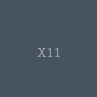 X11
