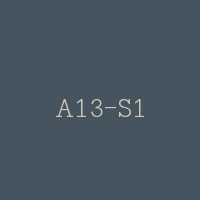 A13-S1