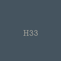 H33