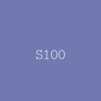 S100
