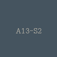 A13-S2
