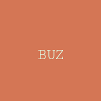 BUZ