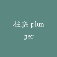 柱塞 plunger