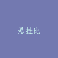 悬挂比
